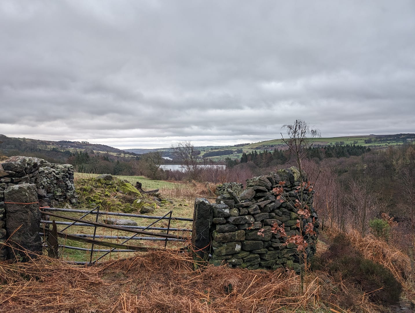 Agden Reservoir and High Bradfield