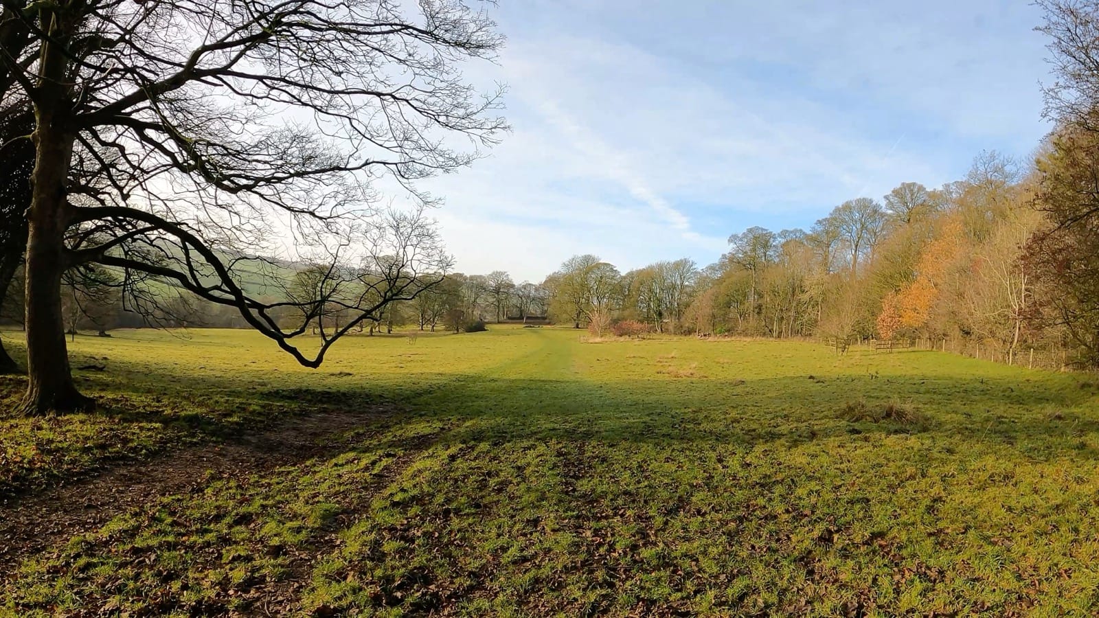 A Winter Walk from Hardwick Hall