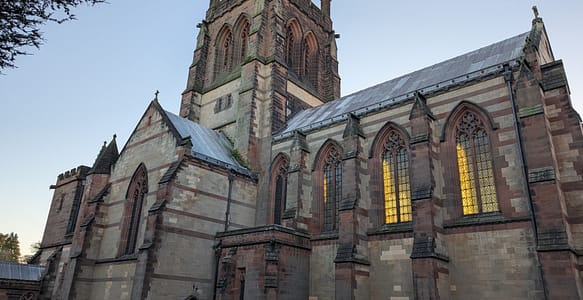 A Bright Early-Morning Walk at Clumber Park in December