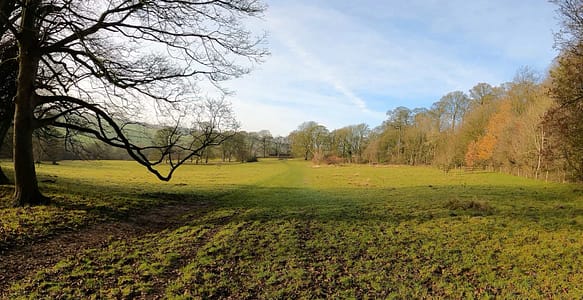 A Winter Walk from Hardwick Hall